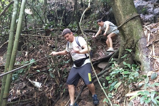 Small-Group Jungle Hiking Excursion in Khao Phra Teaw Park - Ton Sai Waterfall and the first jungle miles