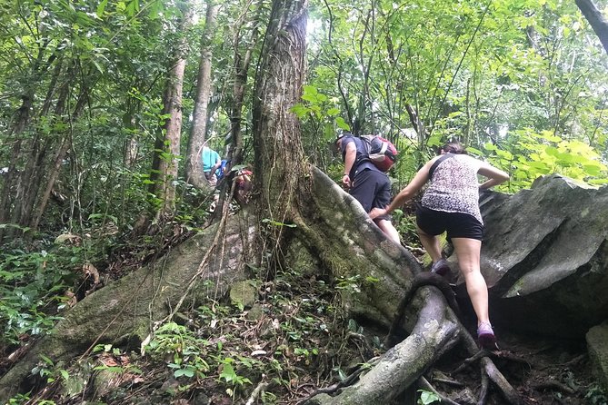 Small-Group Jungle Hiking Excursion in Khao Phra Teaw Park - Swimming beneath Phuket’s waterfalls