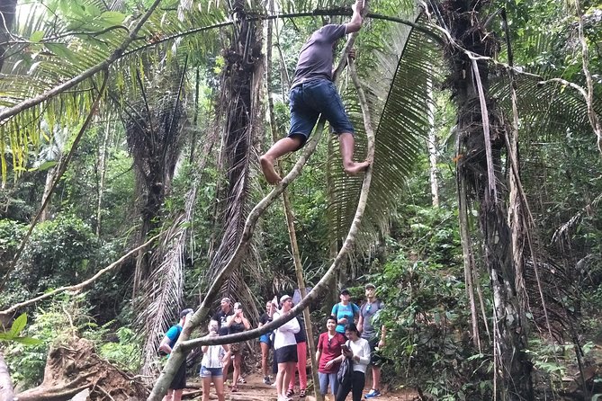 Small-Group Jungle Hiking Excursion in Khao Phra Teaw Park - Bang Pae Waterfall and the end of the trail