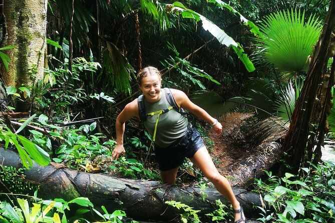 Small-Group Jungle Hiking Excursion in Khao Phra Teaw Park - Why the Thai lunch matters