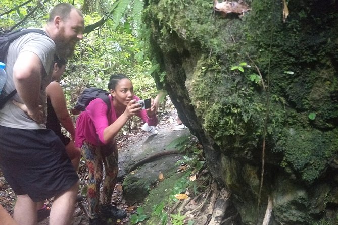 Small-Group Jungle Hiking Excursion in Khao Phra Teaw Park - What the $78.23 price includes