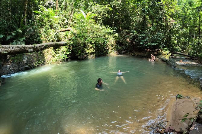 Small-Group Jungle Hiking Excursion in Khao Phra Teaw Park - Who should book this jungle hike?
