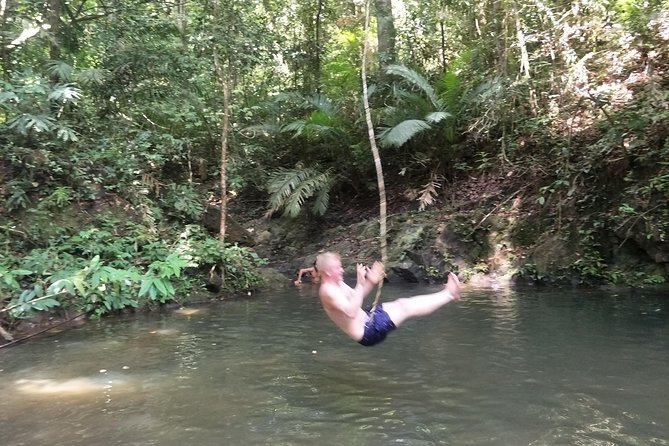 Small-Group Jungle Hiking Excursion in Khao Phra Teaw Park - Timing, pickup, and cancellation details