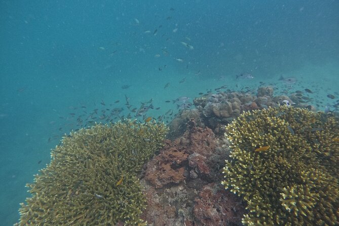 Small Group Phi Phi Islands Sunrise Tour with Seaview Lunch - Who should book this tour