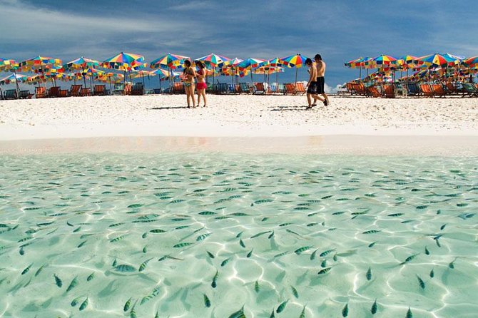 Snorkeling Tour to Coral & Maiton & Racha Island from Phuket - Maiton Private Island and the dolphin possibility
