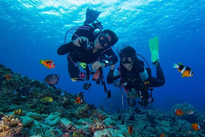 SSI | Padi Open Water Course in Phuket - Day three at Racha Noi: the most scenic underwater day