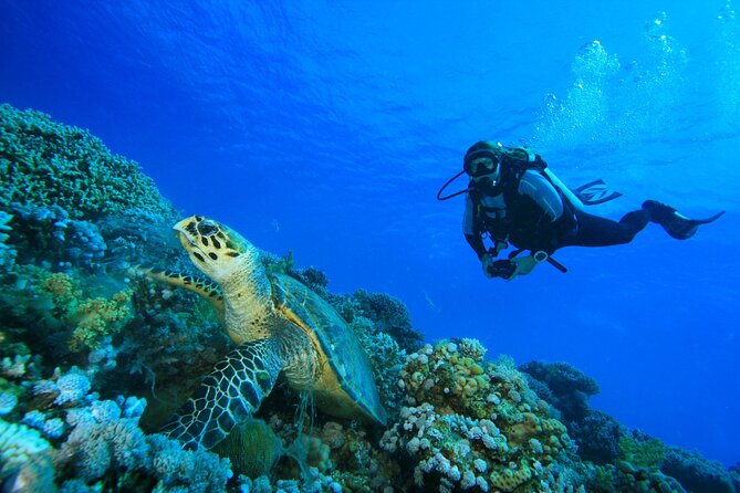 SSI | Padi Open Water Course in Phuket - Day two at Racha Yai: a gentler offshore test