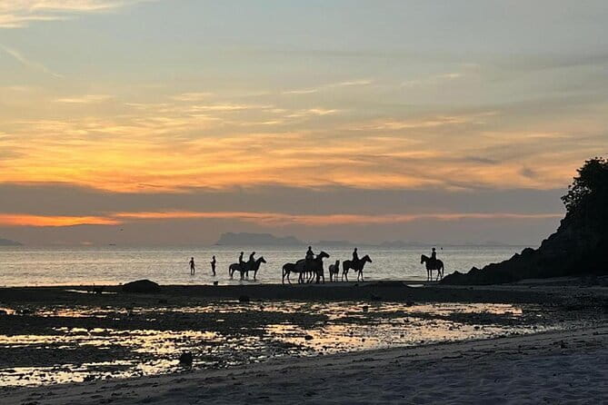 Sunset Beach Horseback Ride Phuket - From the Phuket stable to the first garden paths