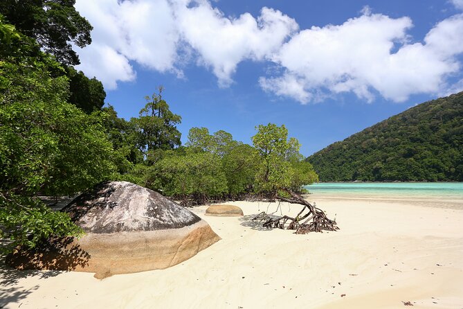 Surin Islands 2 Days 1 Night Trip from Phuket - Dinner and a quiet island evening