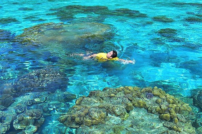 Surin Islands Snorkeling Day Trip By Love Andaman From Phuket - How the price compares with the effort