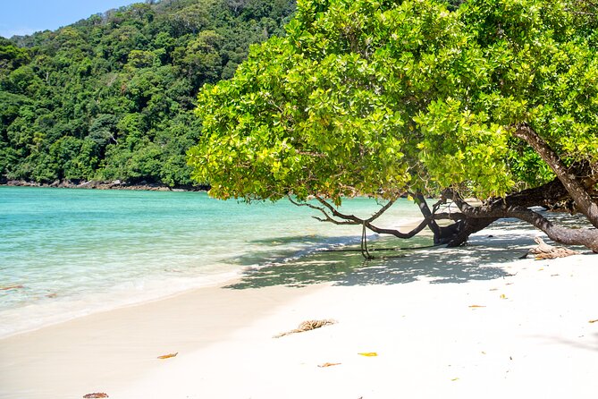 Surin Islands Snorkeling Trip from Phuket - Chong Khad Bay starts the water time
