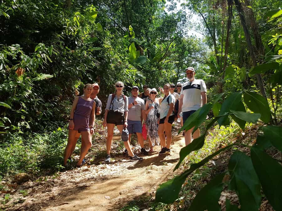 Temple and Jungle Trekking tour with Lunch at Farm-to-Table - Who will enjoy this tour most
