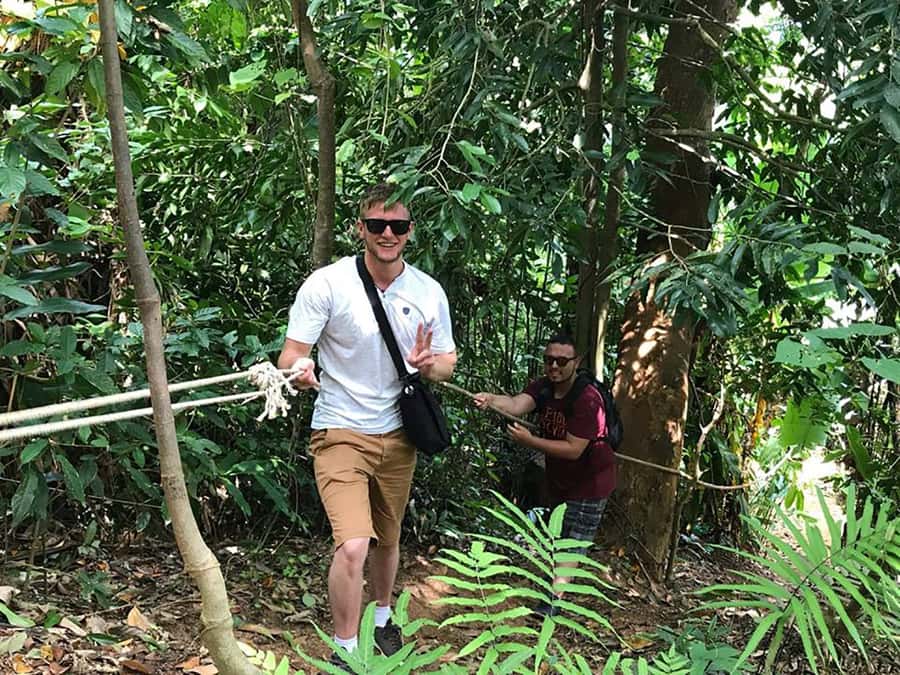 Temple and Jungle Trekking tour with Lunch at Farm-to-Table - Coconut, fruit, and a forest-view rest stop