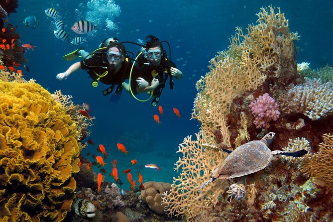 Try Scuba Diving in Racha Yai and Noi for Non-Certified - Key things to know before booking