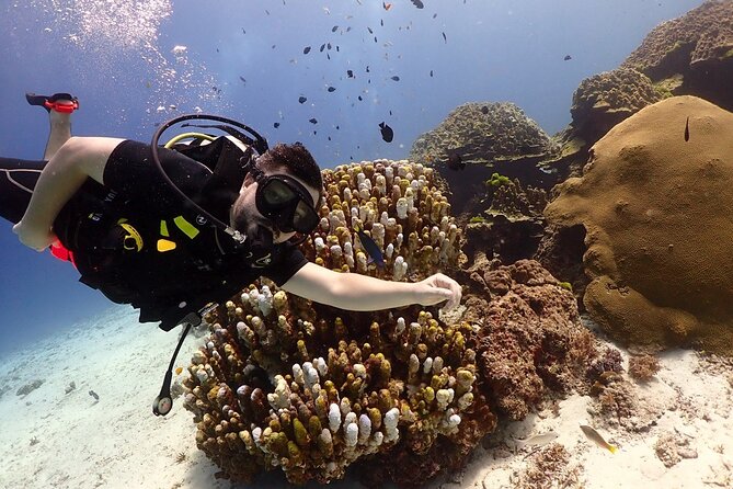 Try Scuba Diving in Racha Yai and Noi for Non-Certified - Why the Racha islands make a good first scuba trip