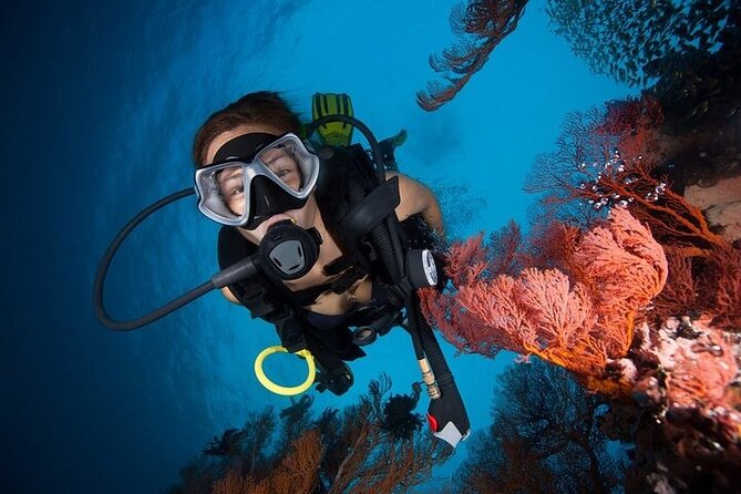 Try Scuba Diving in Racha Yai and Noi for Non-Certified - Your first underwater session