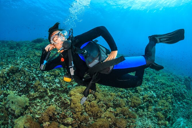 Try Scuba Diving in Racha Yai and Noi for Non-Certified - Is $174.95 a fair price?