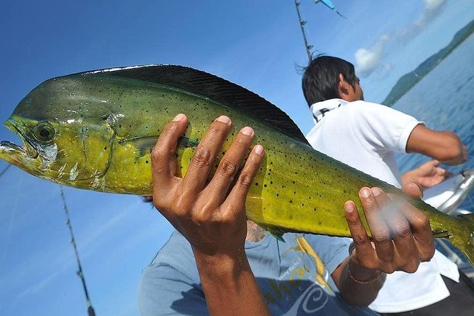 Ultimate Full-Day Big Game Fishing & Trolling Tour - What the $104.17 price really covers