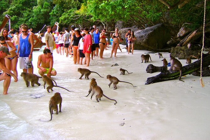 VIP Private Boat to Phi Phi Island: Snorkeling + Land Tour - Wang Long Beach and the rhythm of the morning