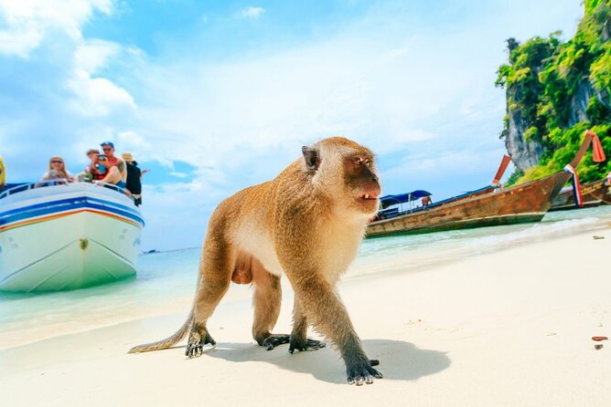 VIP Private Boat to Phi Phi Island: Snorkeling + Land Tour - Lunch at Phi Phi Don