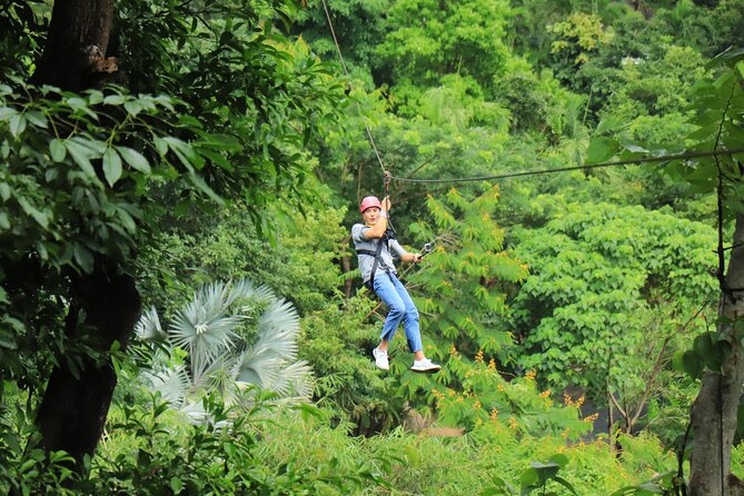 World C+ (Ziplines 10 Platforms + Roller + Sky Walk and World Set Menu ) - Who will get the most from this outing